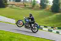 Vintage-motorcycle-club;eventdigitalimages;mallory-park;mallory-park-trackday-photographs;no-limits-trackdays;peter-wileman-photography;trackday-digital-images;trackday-photos;vmcc-festival-1000-bikes-photographs